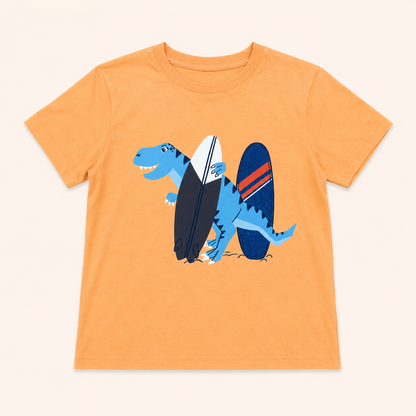 Lot de 2 t-shirt