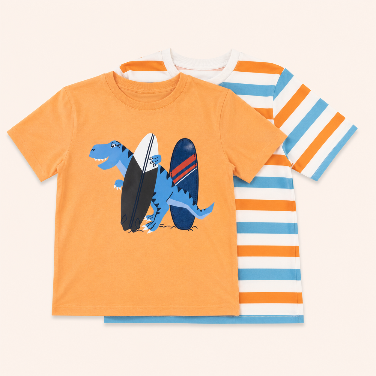 Lot de 2 t-shirt